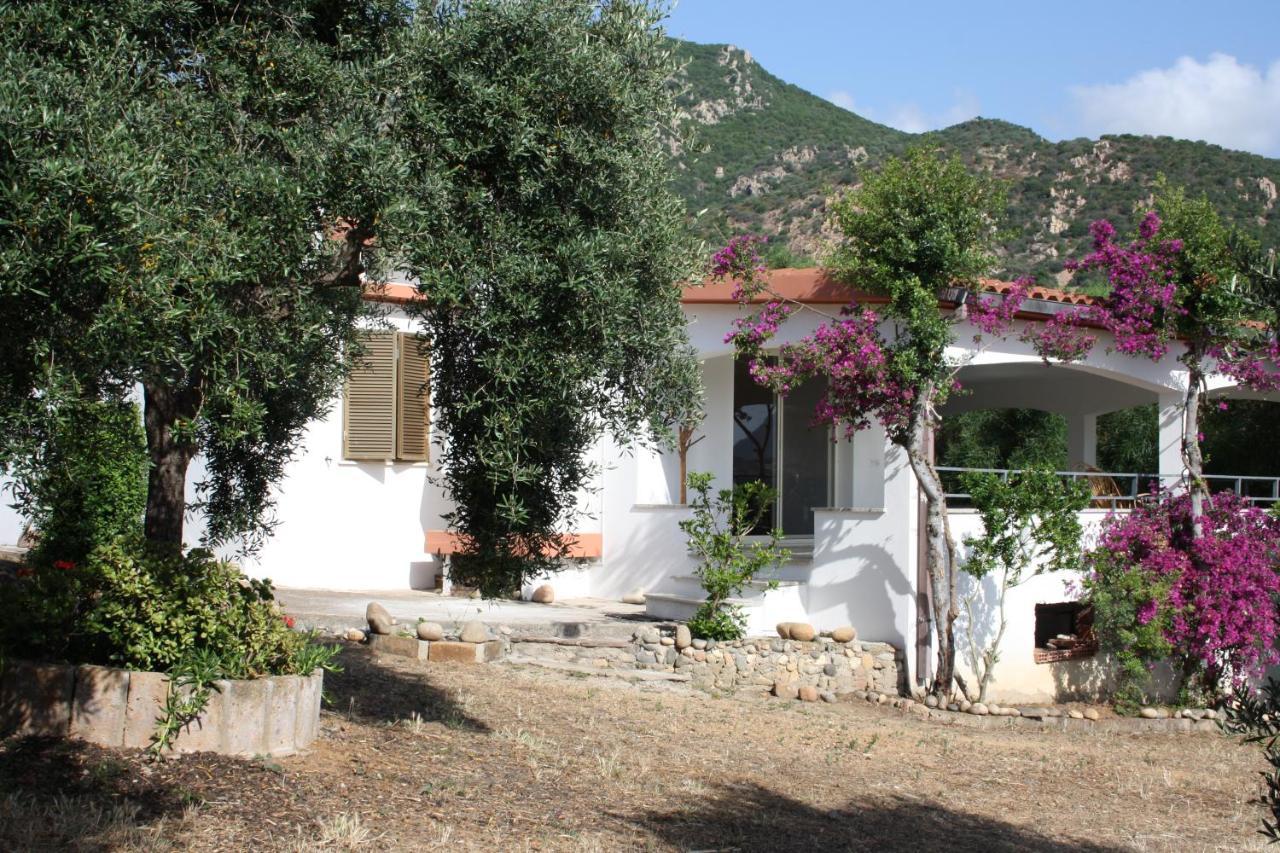 Vacanza In Ogliastra Tertenìa Extérieur photo