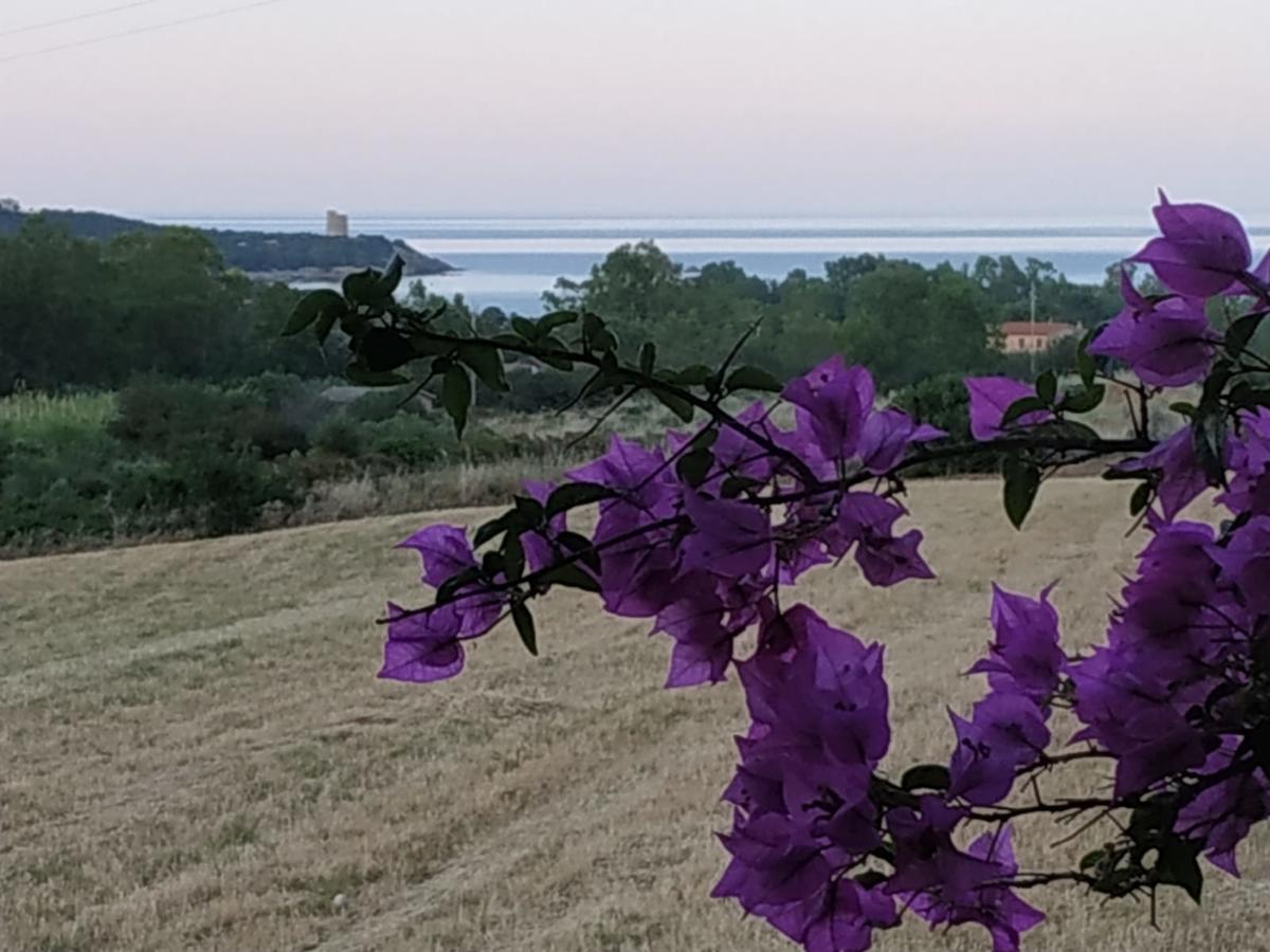 Vacanza In Ogliastra Tertenìa Extérieur photo
